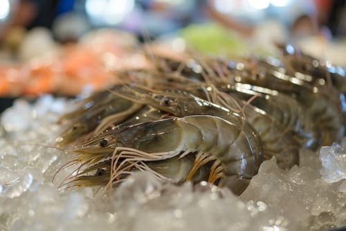 Bringing Fresh Seafood to Your Country