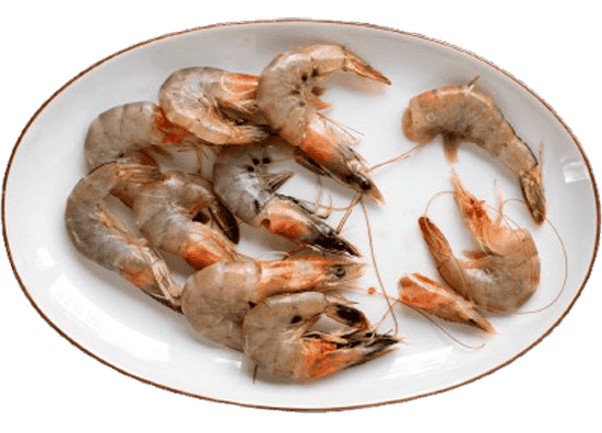 Sea Foods